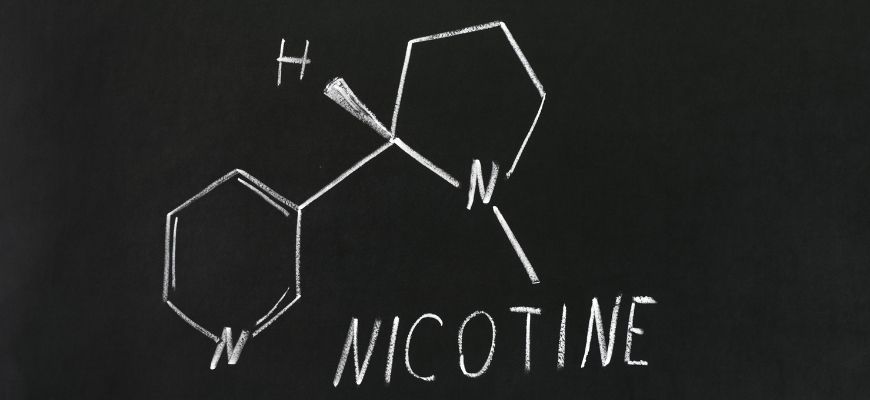 nikotin v organizme
